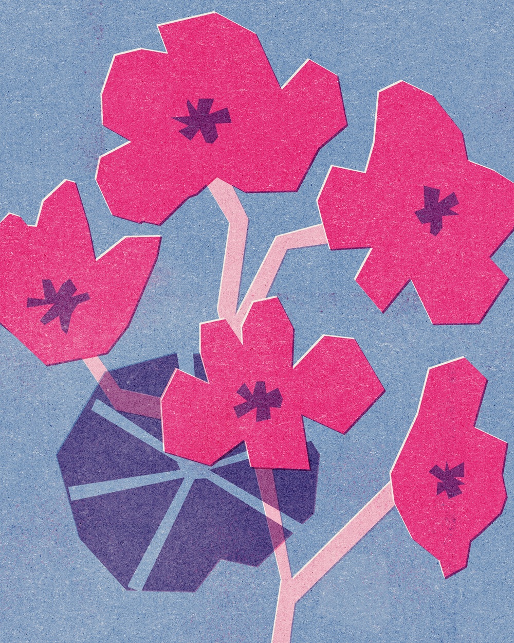 Pink Nasturtiums